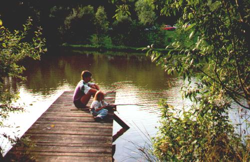 Weiher-Idylle